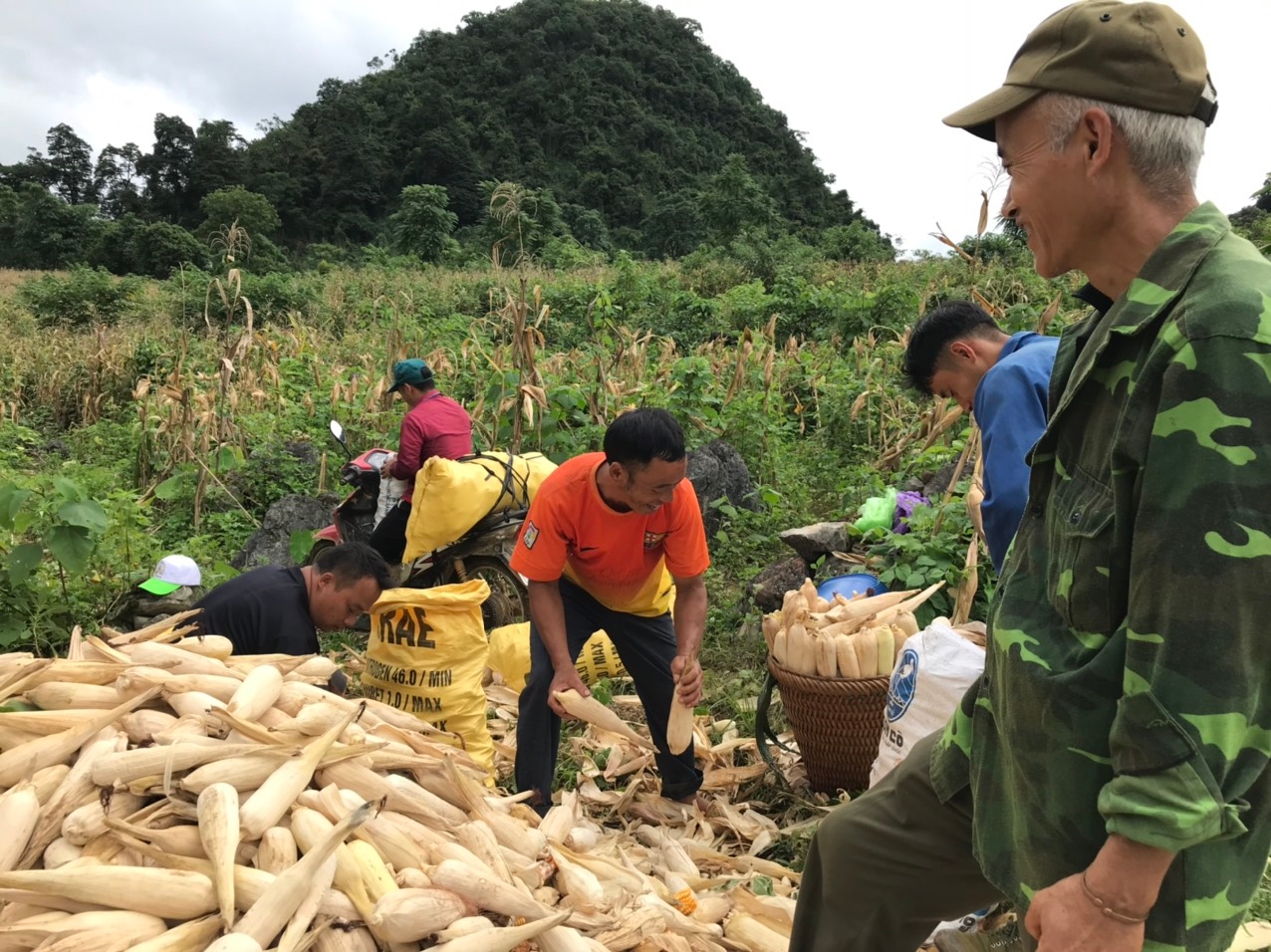 Đến và ở cùng…