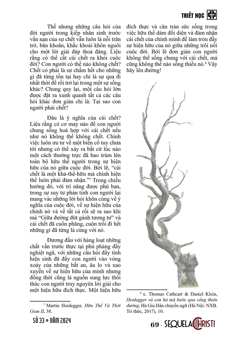 Cái chết thuộc về cuộc sống